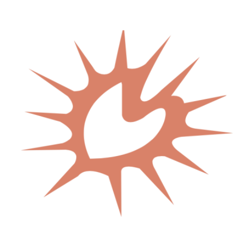 jewellsouls hope foundation logo